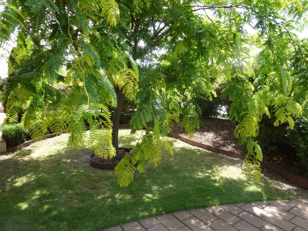 Colonial Motor Inn Bairnsdale Golden Chain Property Luaran gambar